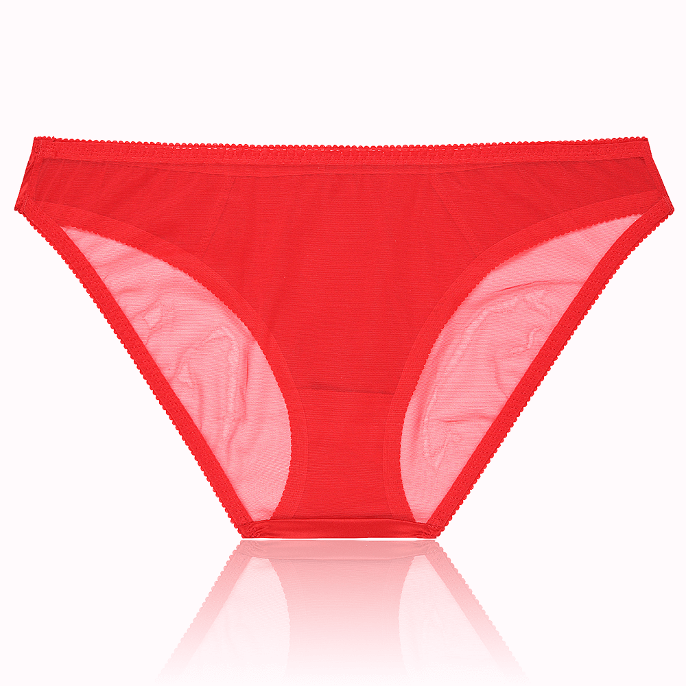 Audrey Bikini Brief | Red - Souszy - Chouchou Intimates